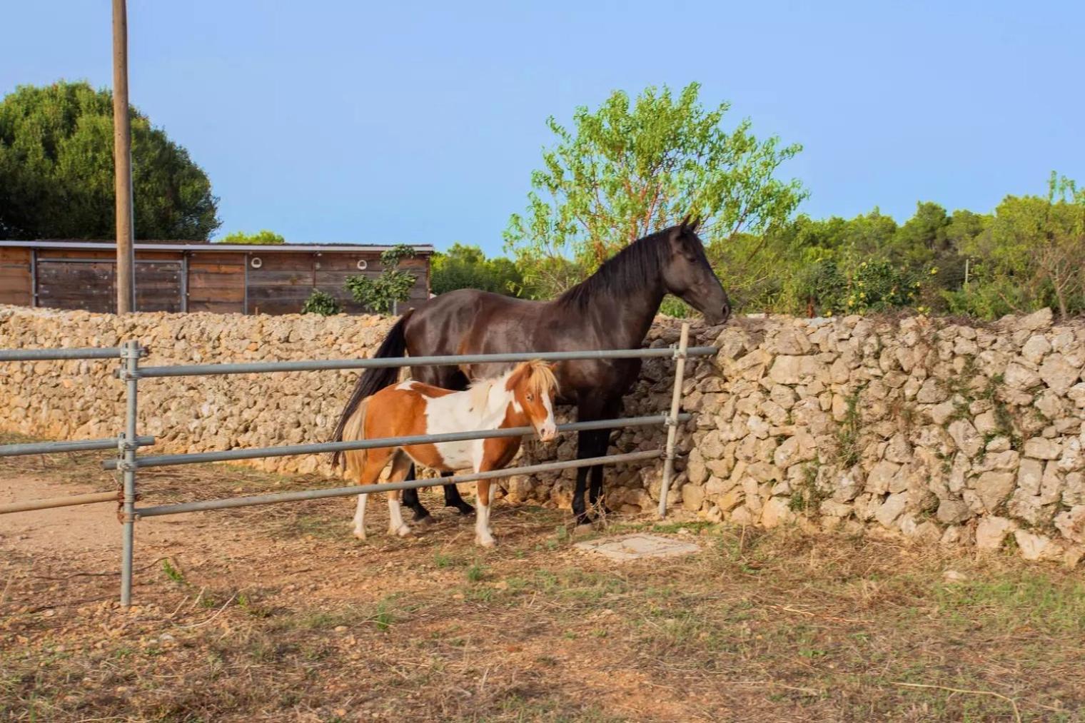 Menorca Agroturismo Llimpet Alaior Exterior foto