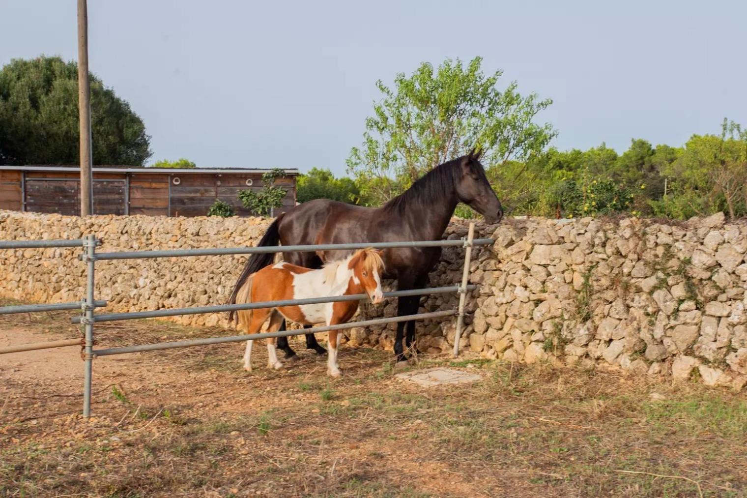 Menorca Agroturismo Llimpet Alaior Exterior foto