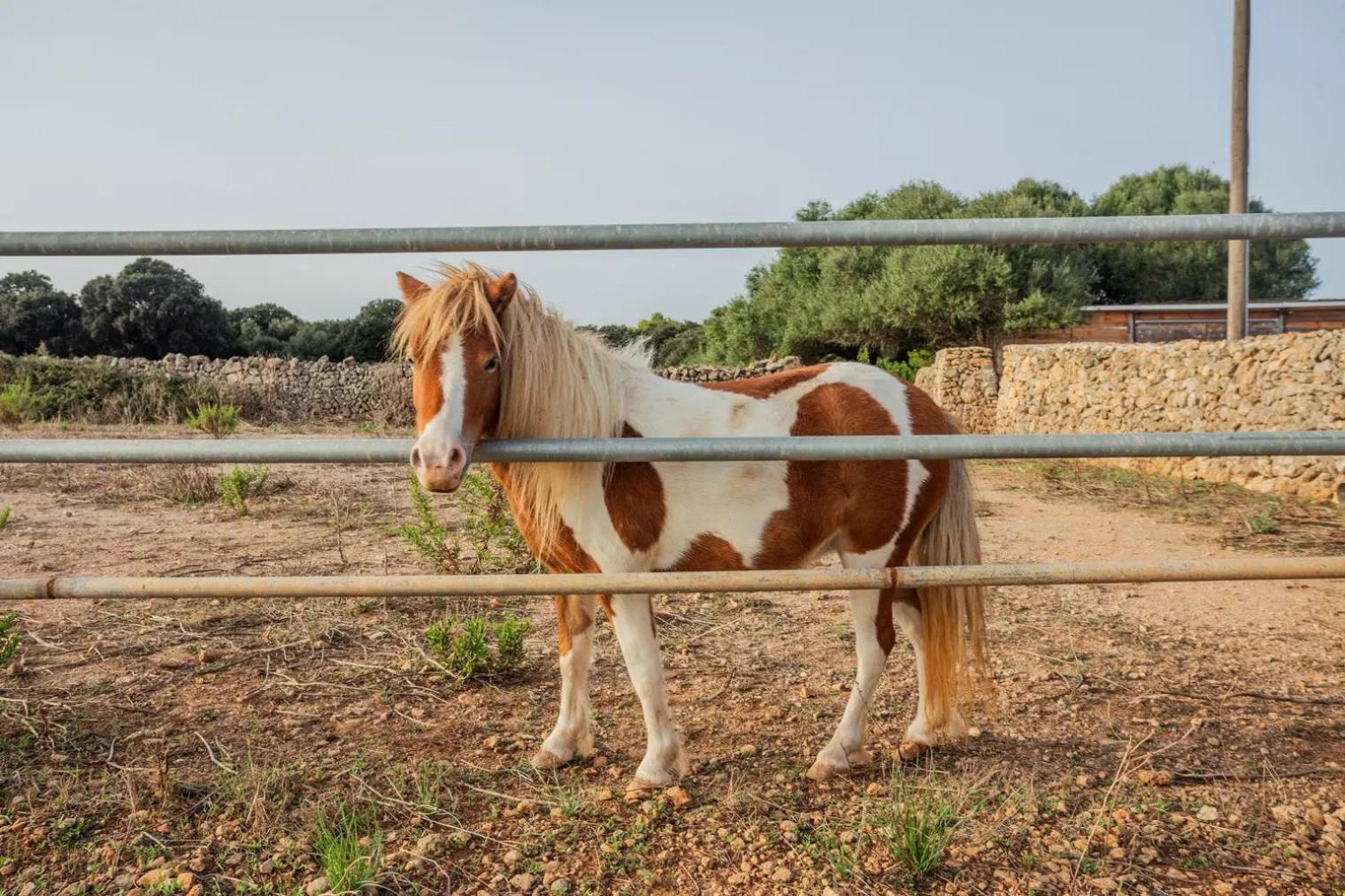 Menorca Agroturismo Llimpet Alaior Exterior foto